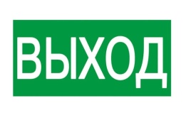 Знак "ВЫХОД" 200х100мм TDM