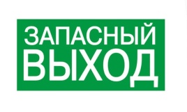Знак "ЗАПАСНЫЙ ВЫХОД" 200х100мм TDM