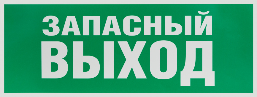 Самоклеящаяся этикетка ЭРА INFO-SSA-115 330х120мм  Запасный выход  SSA-101/DPA-301 фото 1