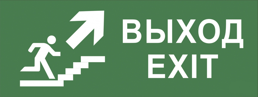 Самоклеящаяся этикетка ЭРА INFO-DBA-014 200х60мм  Выход/лестница вверх/фигура  DPA/DBA фото 1