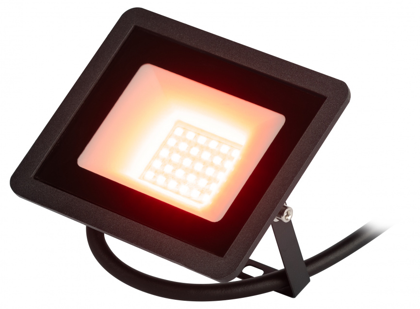 Прожектор светодиодный уличный ЭРА LPR-025-RED-030 30Вт красное свечение IP65 гарантия 2 года фото 1