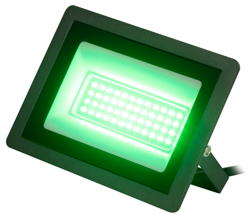 Прожектор светодиодный уличный ЭРА LPR-025-GREEN-050 50Вт зеленое свечение IP65 гарантия 2 года фото 1