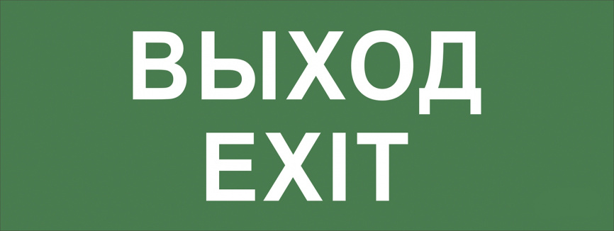 Самоклеящаяся этикетка ЭРА INFO-DBA-015 200х60мм  Выход-EXIT  DBA фото 1
