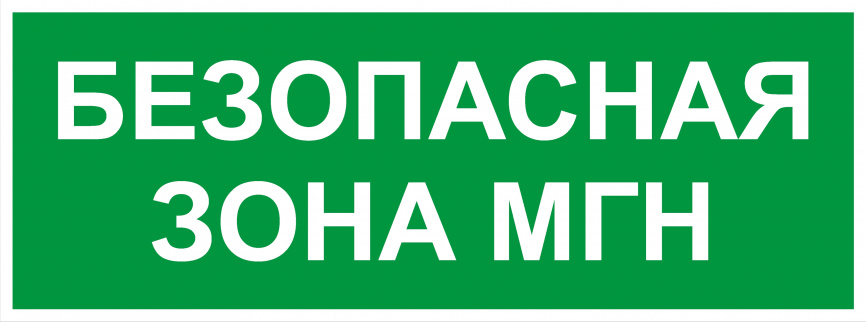 Самоклеящаяся этикетка ЭРА INFO-SSA-124 330х120мм Безопасная зона МГН SSA-101/DPA-301 фото 1